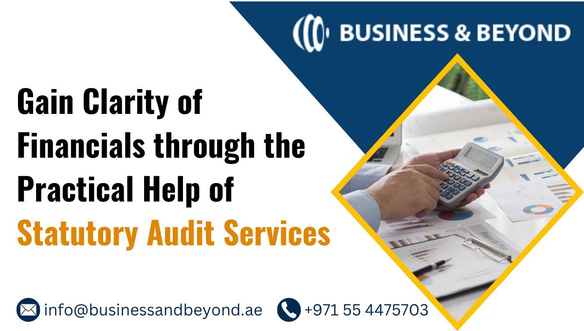 Statutory Audit Assistance