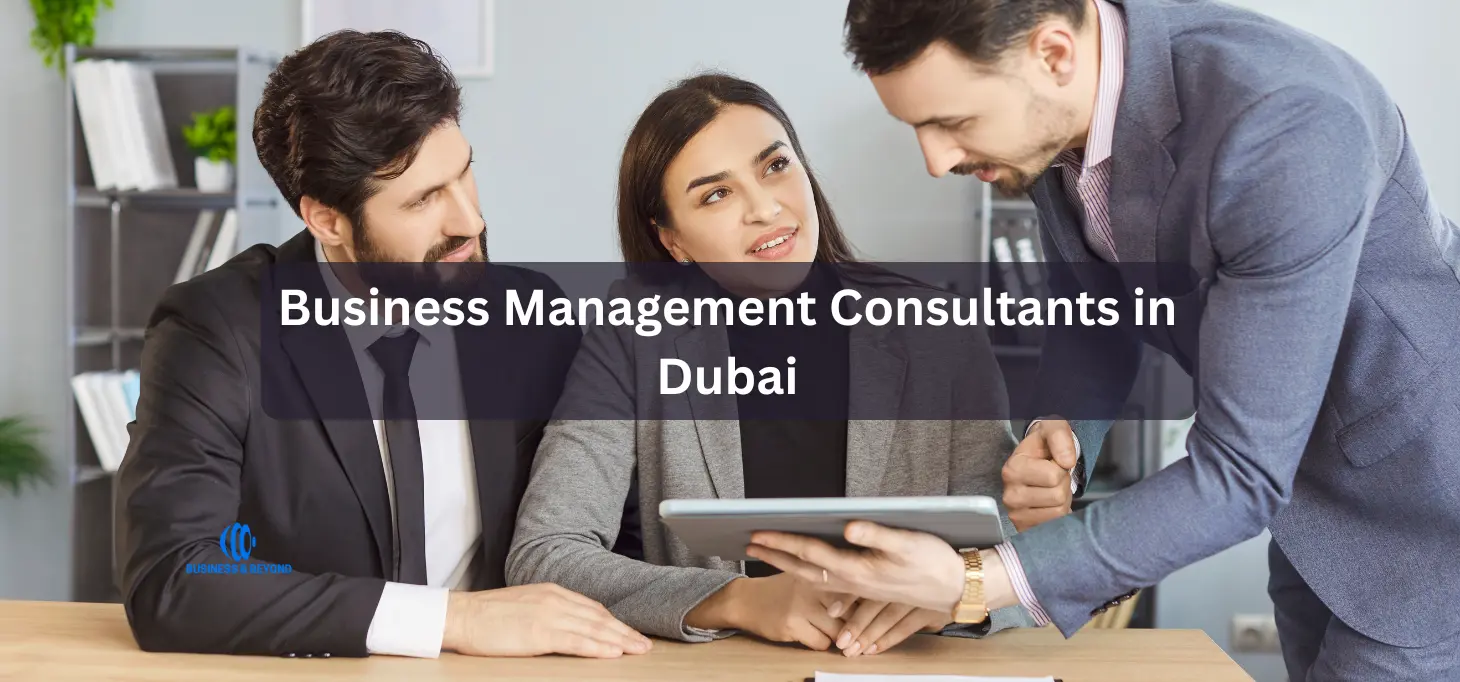 Business Management Consultants in Dubai
